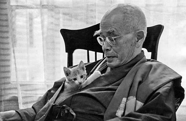 D T Suzuki