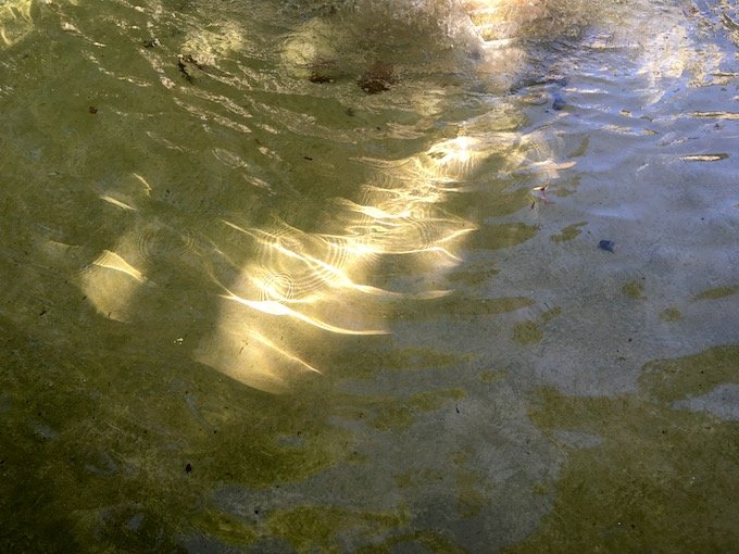 Eau vive