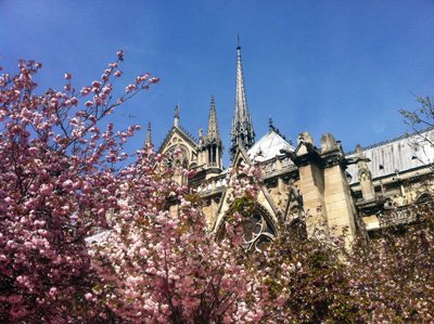 notre-dame