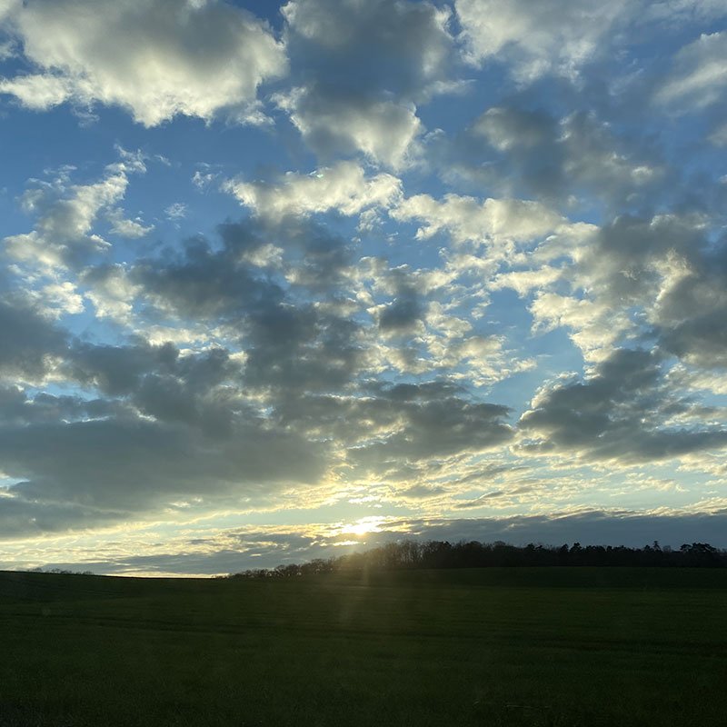 Dans le champ du sans-âge